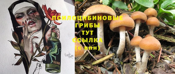 винт Нягань