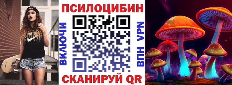 Псилоцибиновые грибы прущие грибы  Байкальск 